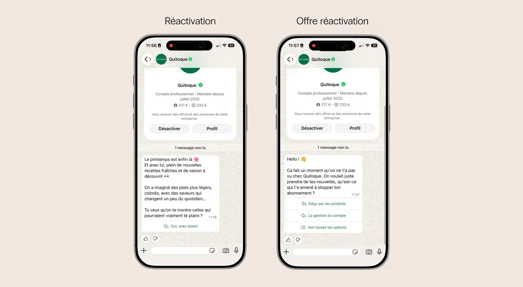 Reactivation on WhatsApp: one message presents the new seasonal recipes, another asks the former subscriber what led them to stop their subscription